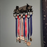 Sports Medals wall organizer